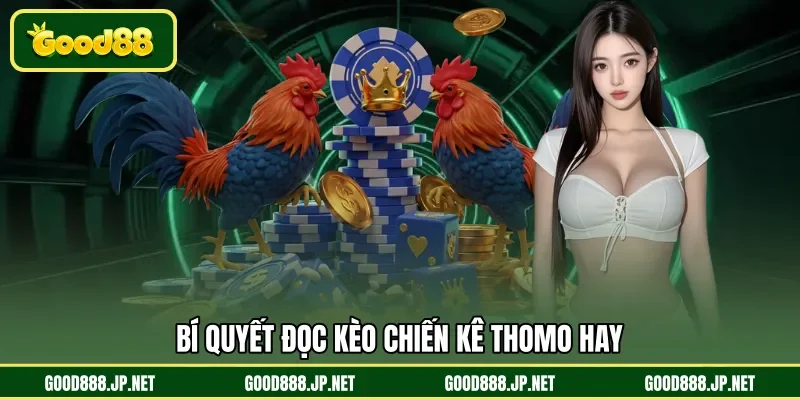 Bí quyết đọc kèo chiến kê Thomo hay