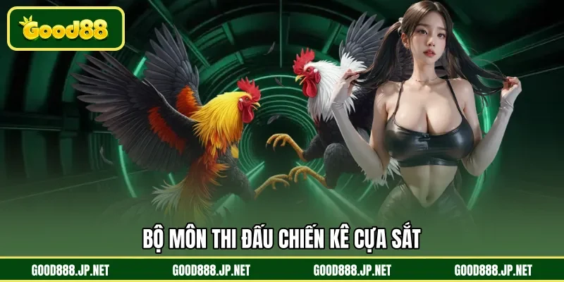 Bộ môn thi đấu chiến kê cựa sắt