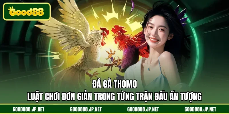 Đá gà Thomo
