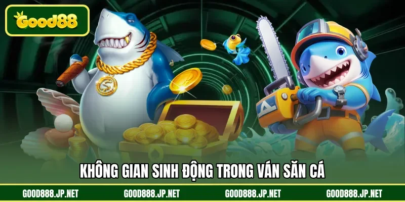 Không gian sinh động trong ván săn cá