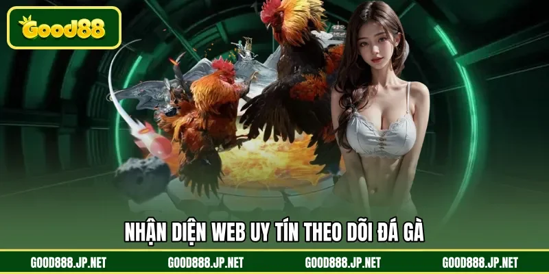Nhận diện web uy tín theo dõi đá gà