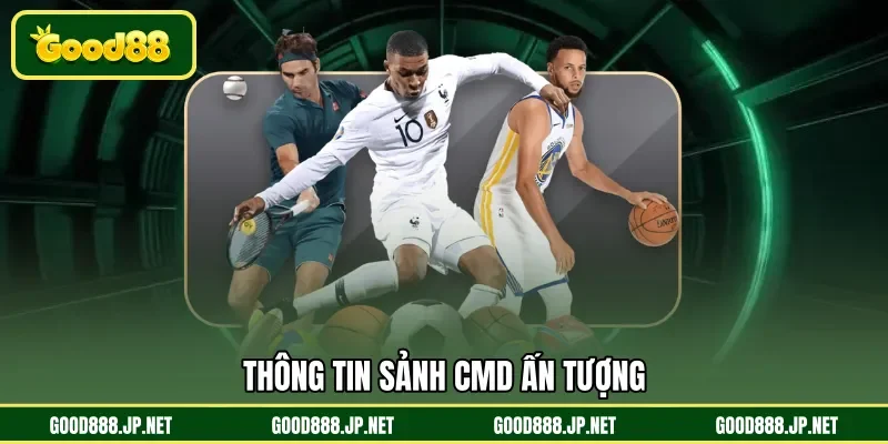 Thông tin sảnh CMD ấn tượng